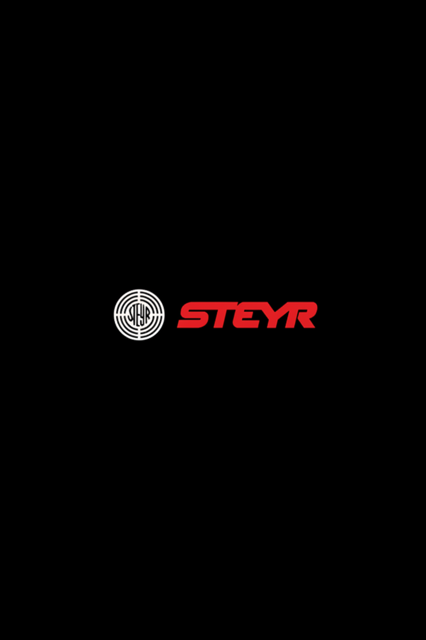 Phone Holders - Steyr